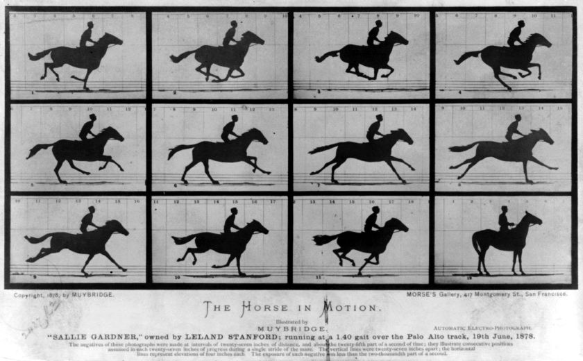 Eadweard Muybridge, The Horse in Motion, 1878