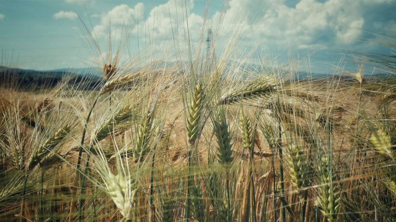 Intervallo© Elisa Posella